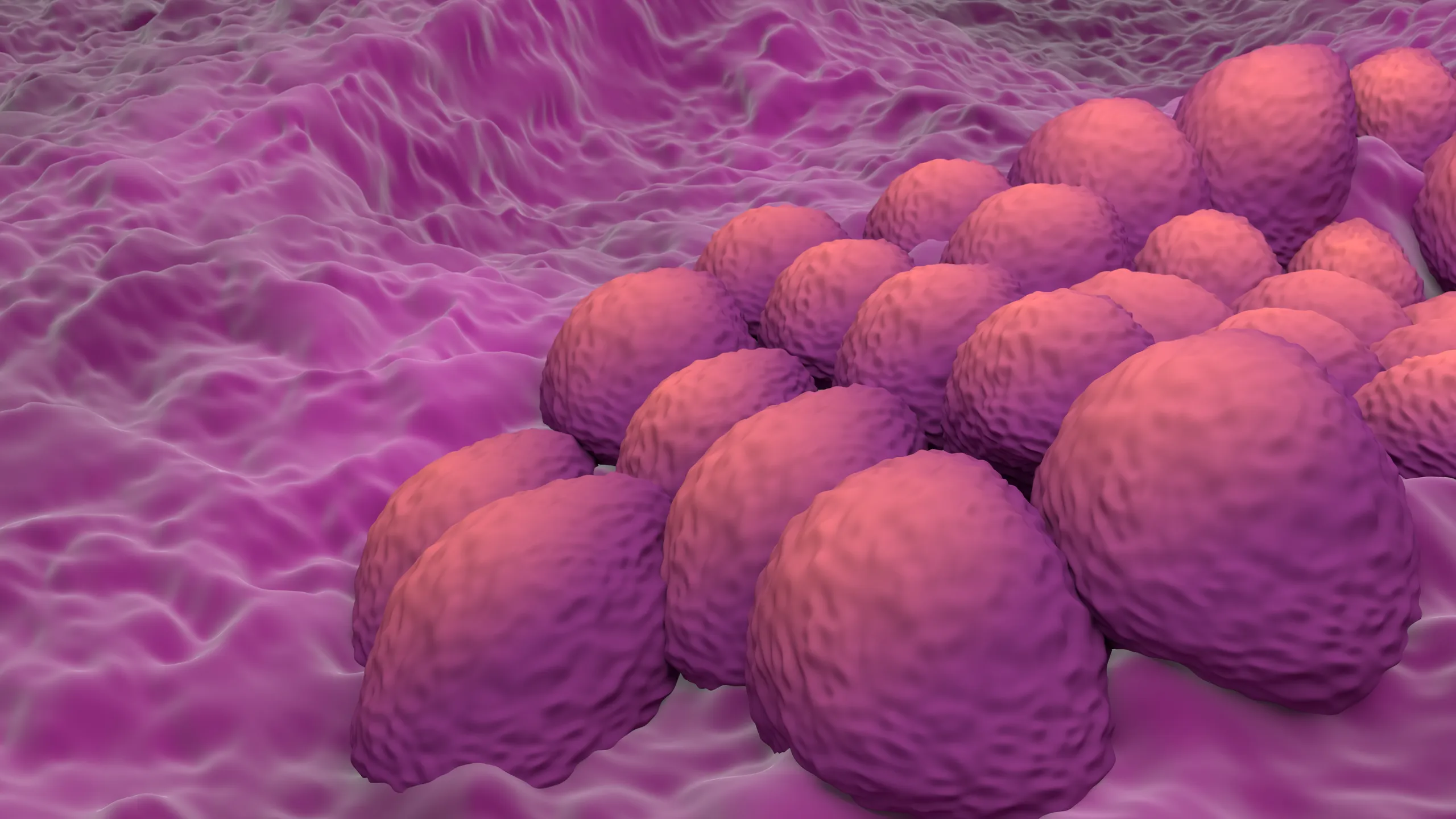 Una IA marca un hito en salud femenina al detectar cáncer endometrial con 99% de eficacia