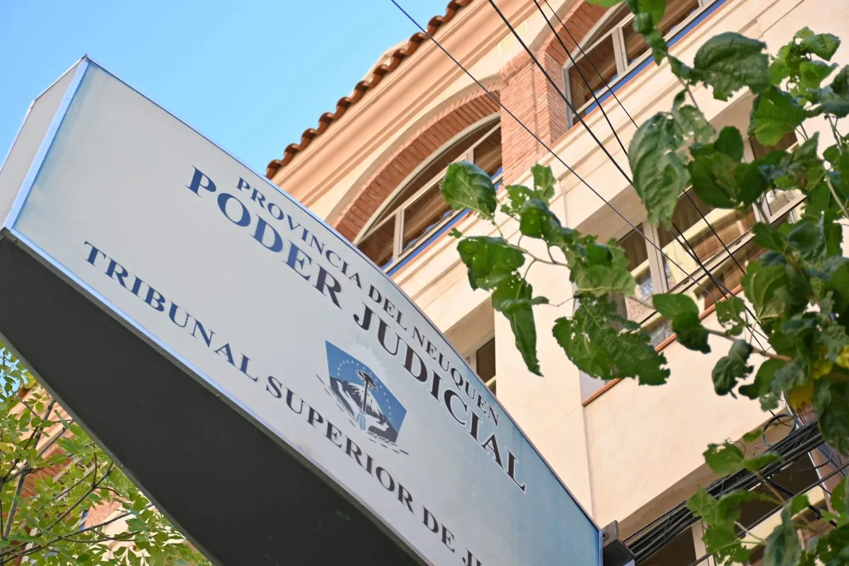 image preview(placeholder)