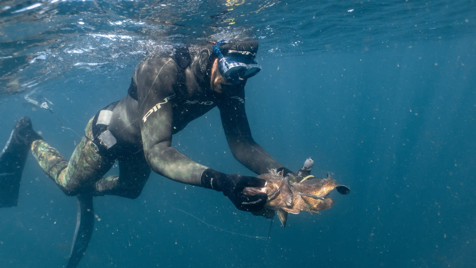 Playas Doradas Anuncia el Retorno del Encuentro Nacional de Pesca Submarina en Semana Santa