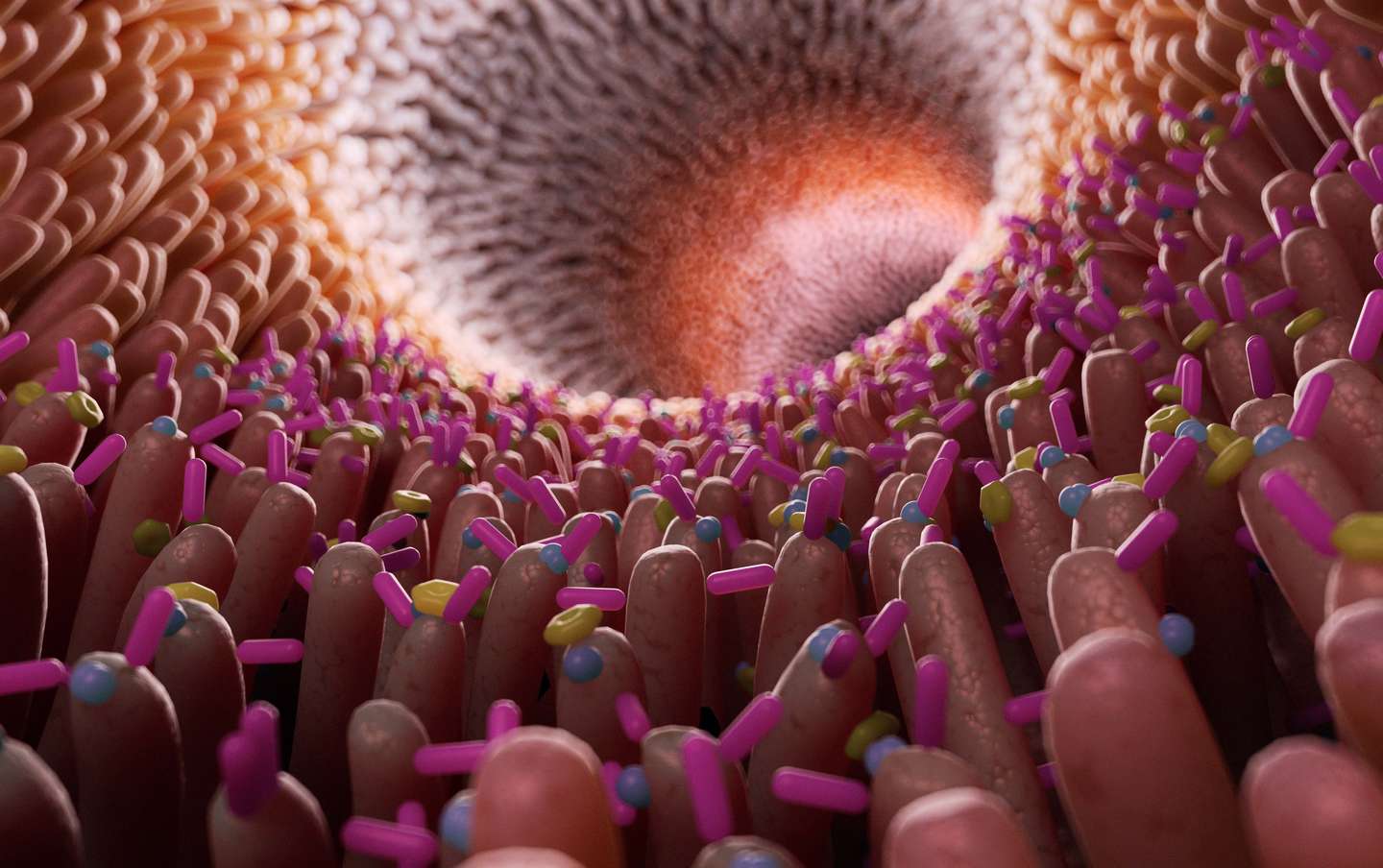 Microbiota intestinal: el enfoque innovador que plantea combatir infecciones sin usar antibióticos