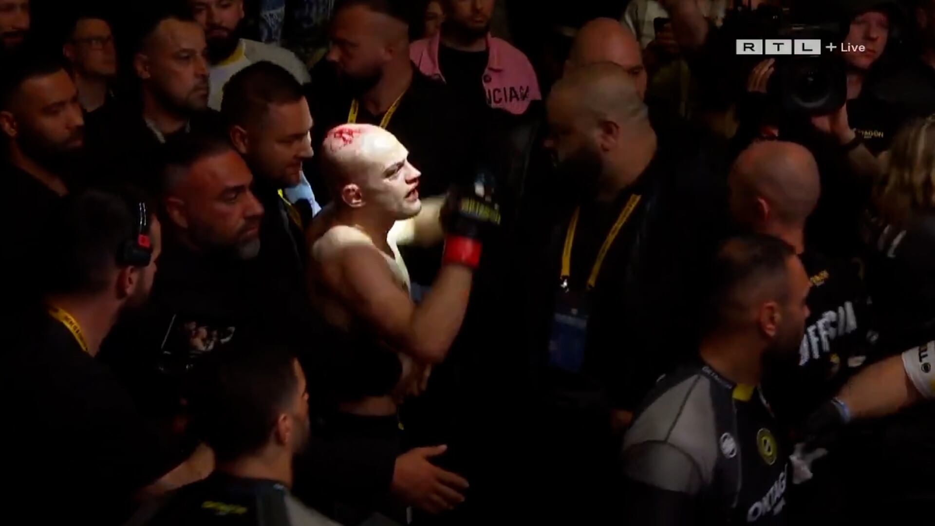 image preview(placeholder)