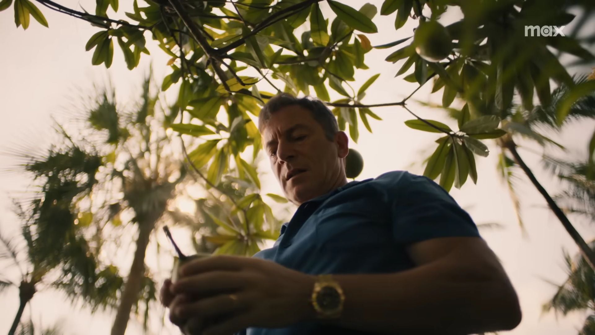 La Mortífera Planta de White Lotus: Un Peligro Latente