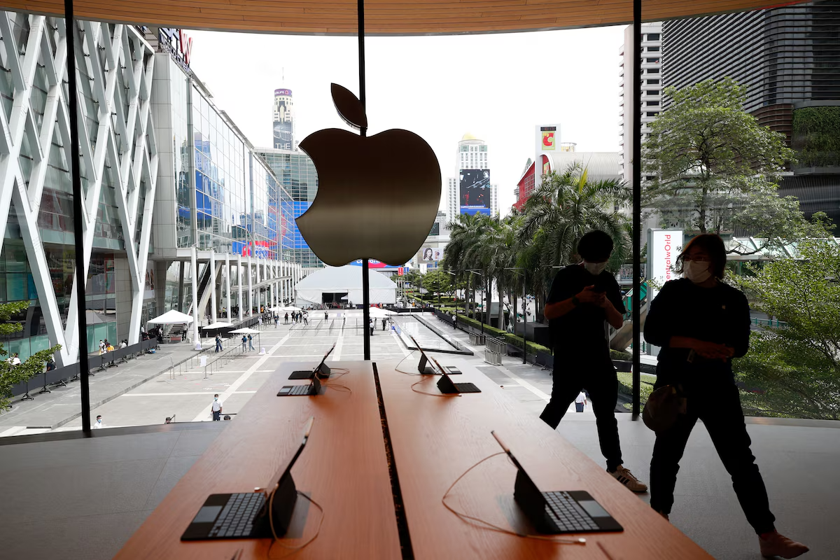 image preview(placeholder)