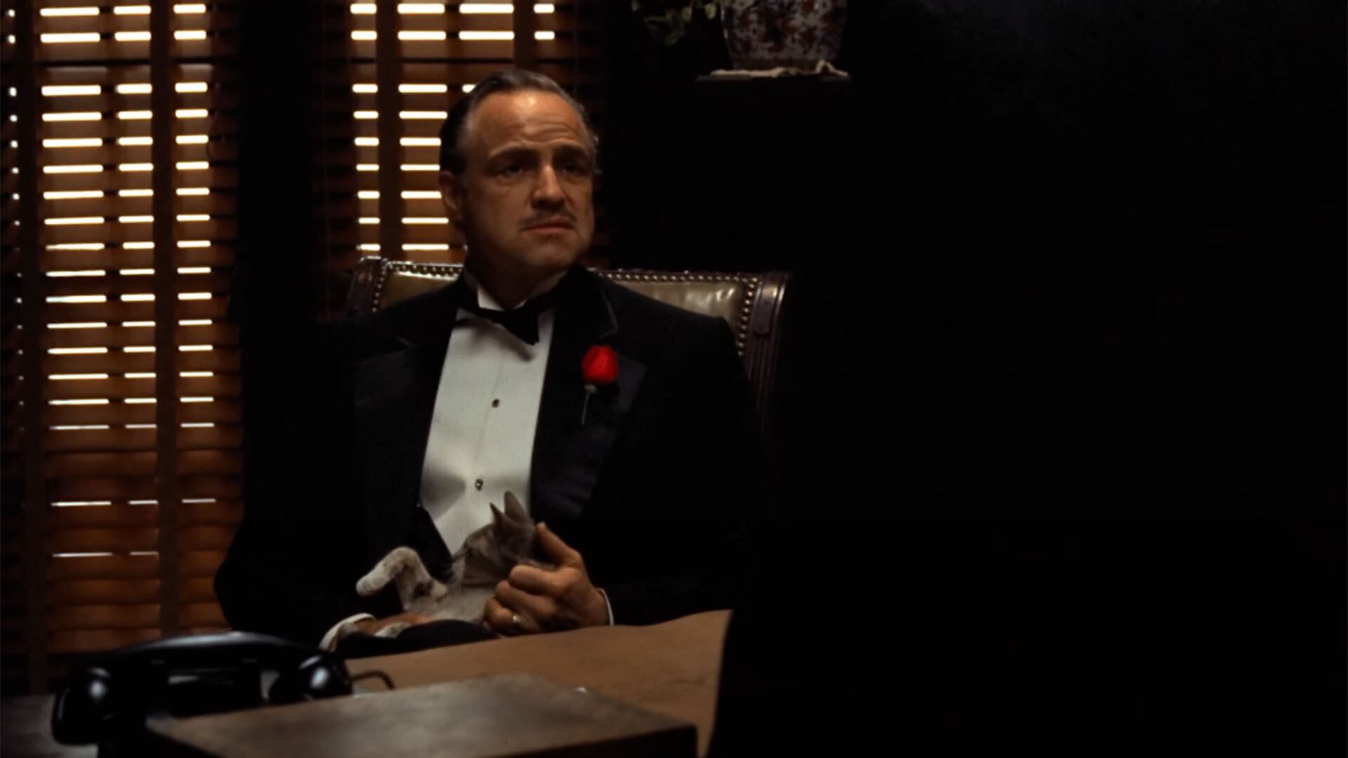 La Influencia Inesperada de un Gato en 'El Padrino'