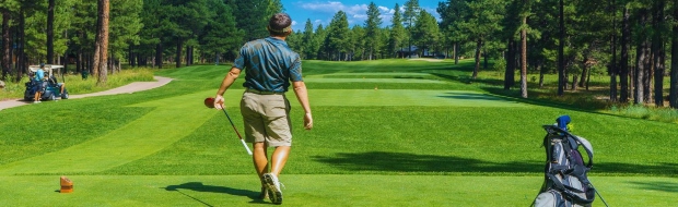 image preview(placeholder)