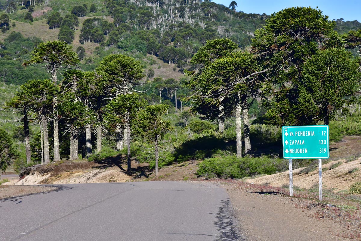 Pasos fronterizos a Chile: cuál es el trámite que cambió para evitar demoras en Migraciones