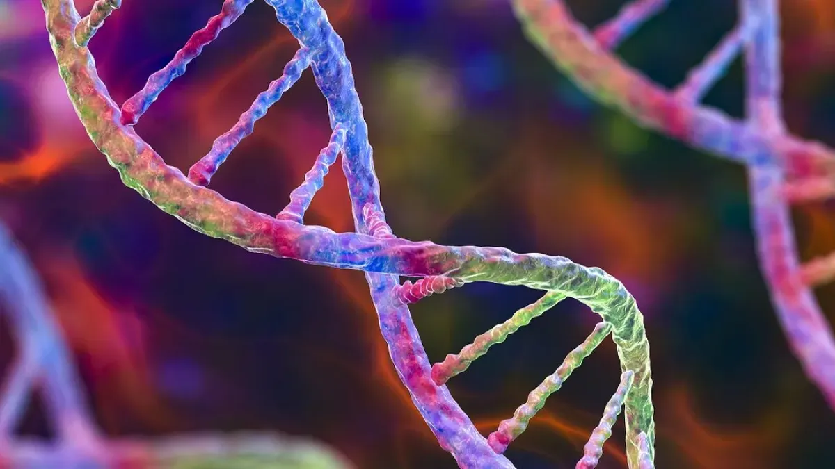 Pruebas genéticas y su impacto en tratamientos médicos, en el Día Mundial del ADN