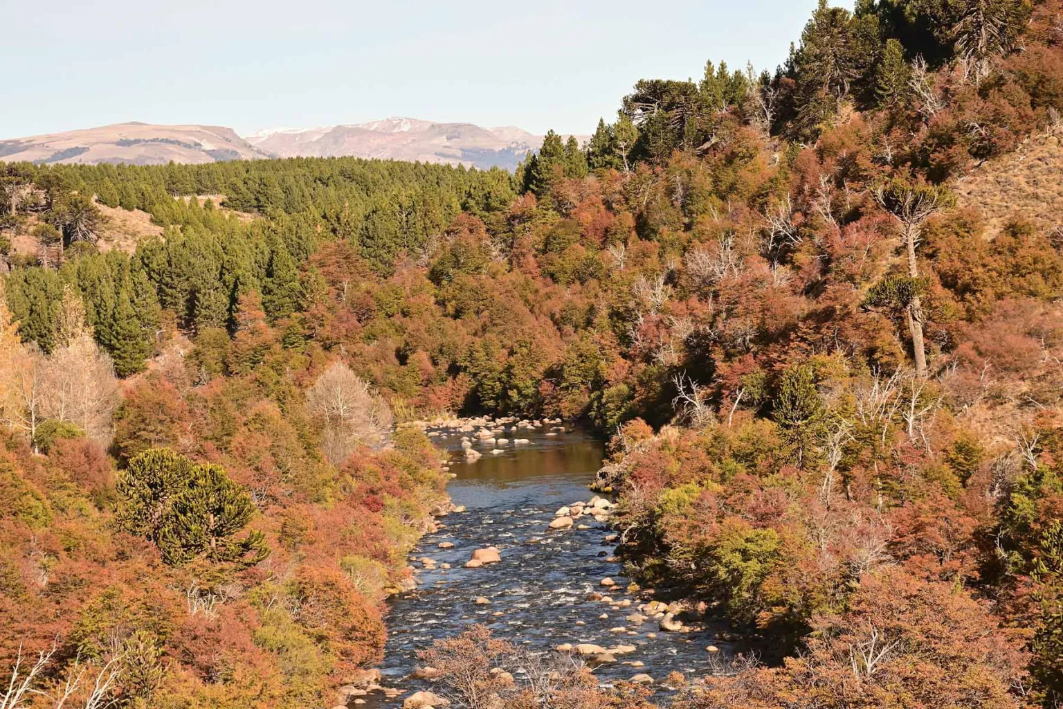 Villa Pehuenia-Moquehue: Un Encanto Otoñal Mágico