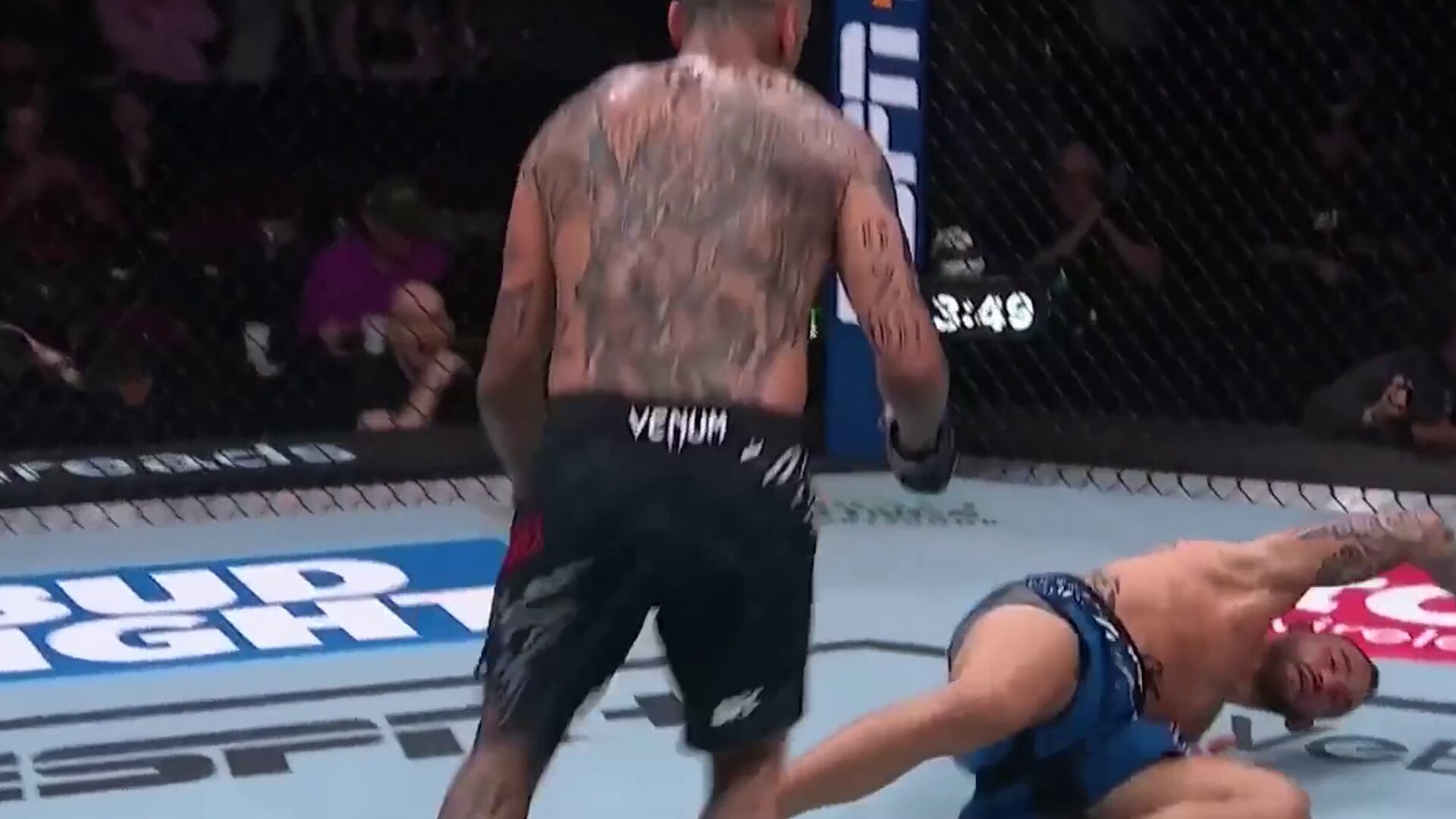 image preview(placeholder)