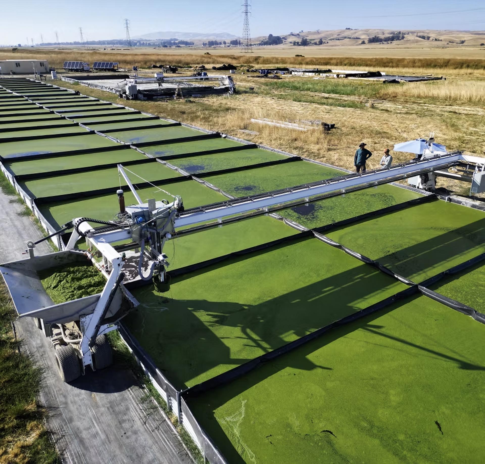 Tecnología robótica al servicio del agro: la propuesta disruptiva de una startup