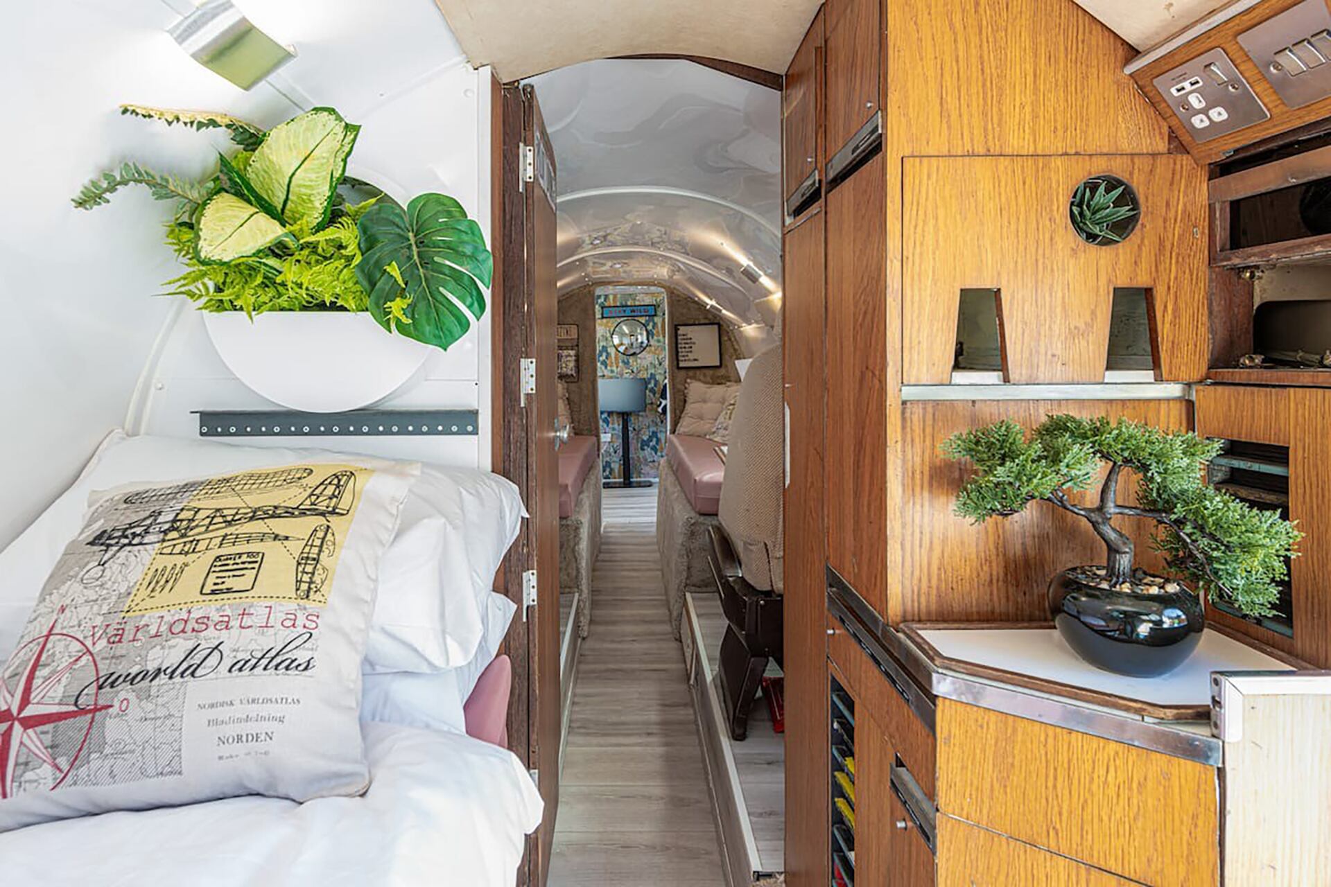 image preview(placeholder)