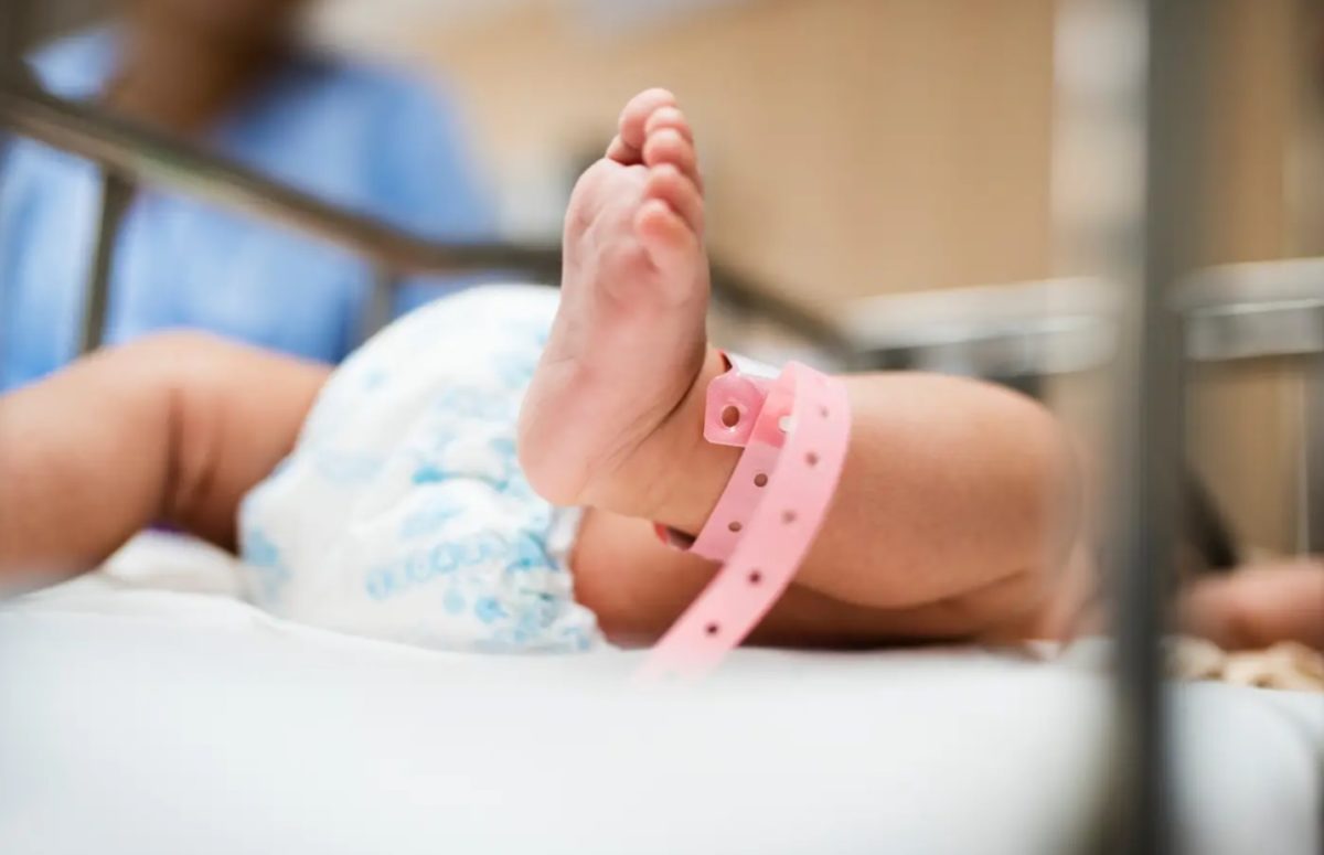 image preview(placeholder)