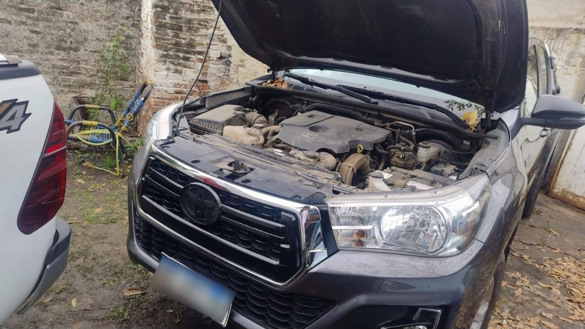 image preview(placeholder)