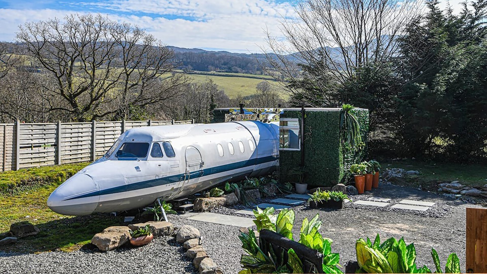 image preview(placeholder)